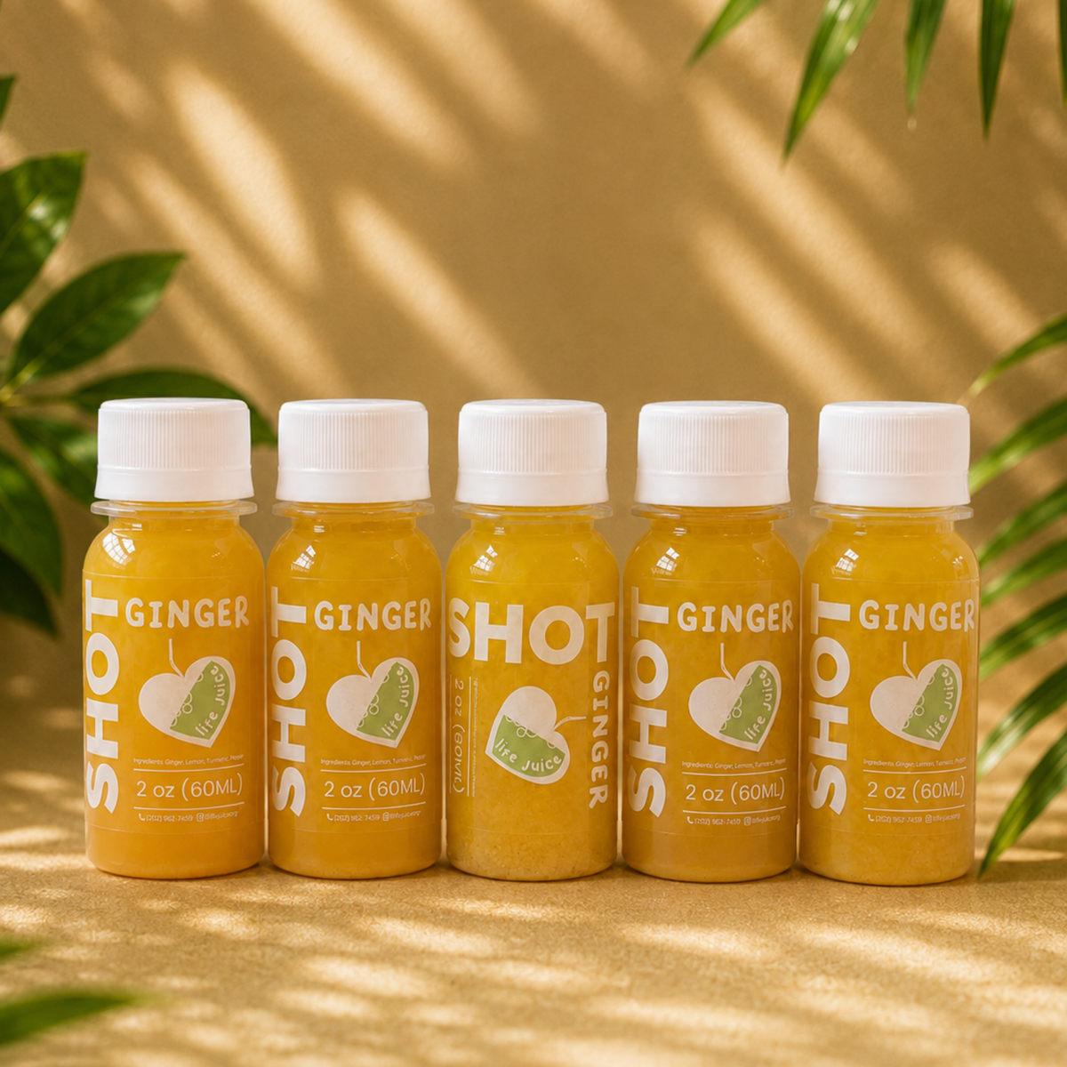 GINGER SHOTS