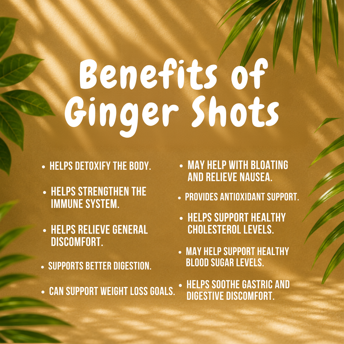 GINGER SHOTS